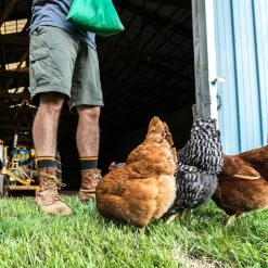 Darn Tough Steely Boot Cushion Socks - Men's 17 Darn Tough Steely Boot Cushion Socks - Men's -Active Pedal Shop 30ba110e a100 49db 8db6 ad744e343ecd