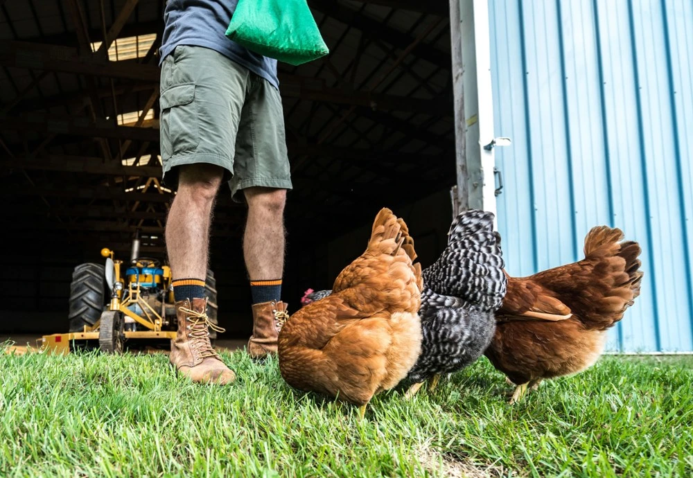 Darn Tough Steely Boot Cushion Socks - Men's 9 Darn Tough Steely Boot Cushion Socks - Men's - Image 9