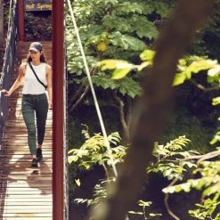 Athleta Trekkie North Jogger Pants - Women's Petite Sizes -Active Pedal Shop 6472a7ba 7f49 486b 9b21 4da0517bb344