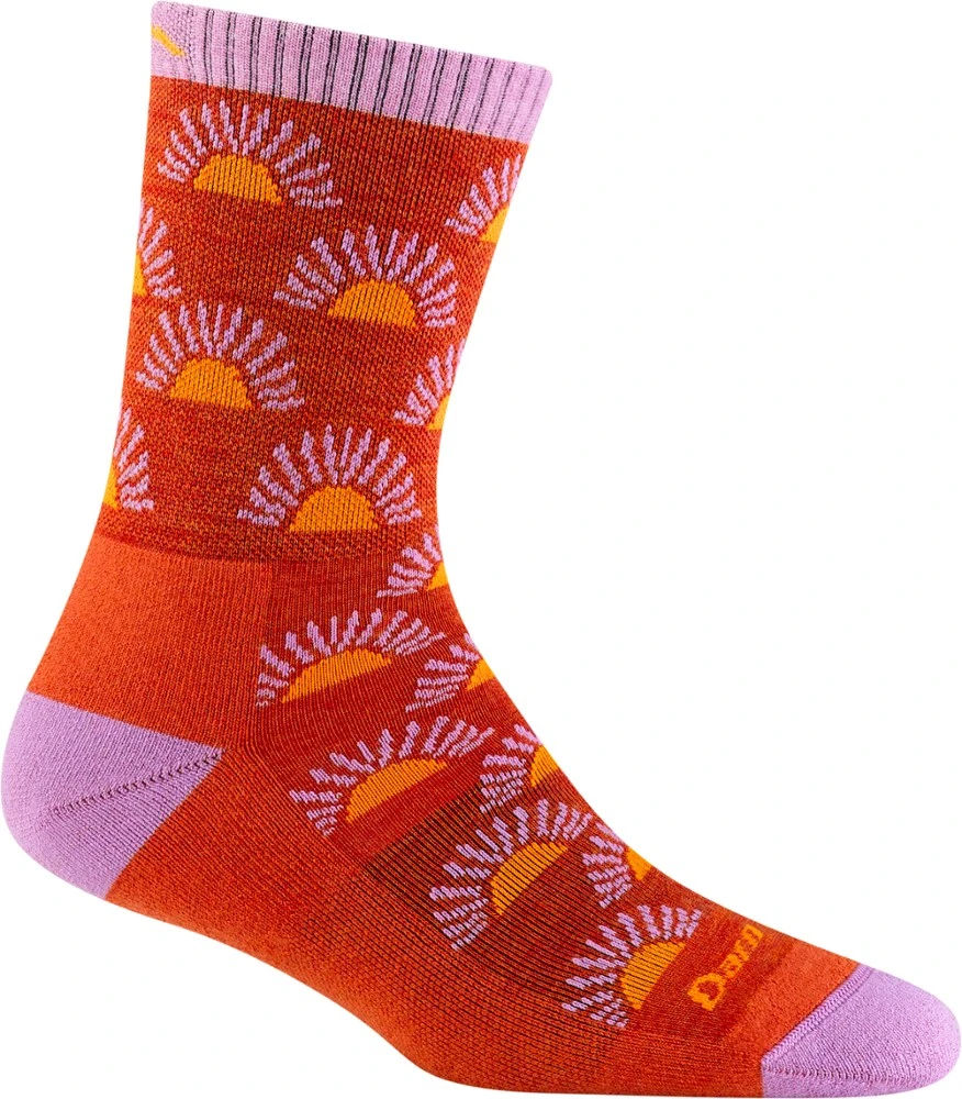 Darn Tough Ray Day Socks - Women's 4 Darn Tough Ray Day Socks - Women's - Image 4